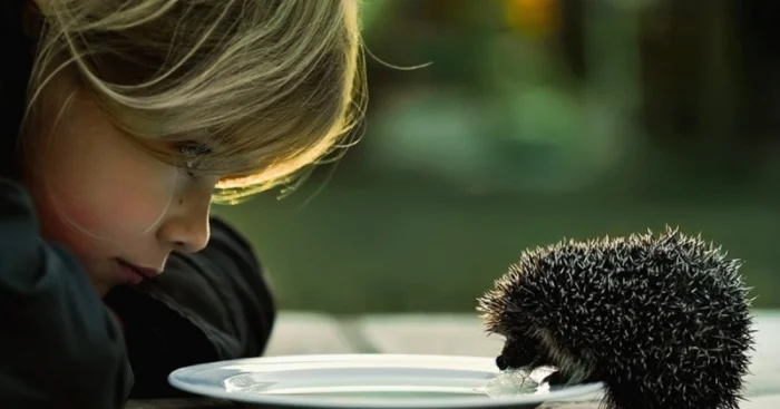 Подъехало всё вразнобой