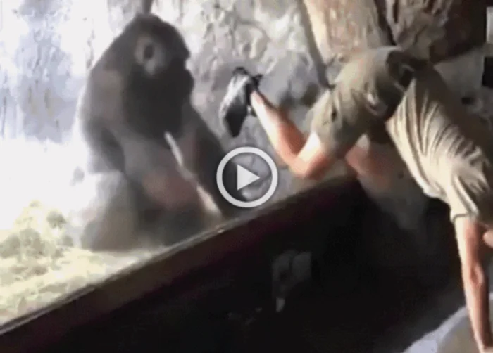 Разнообразные ГИФки #87