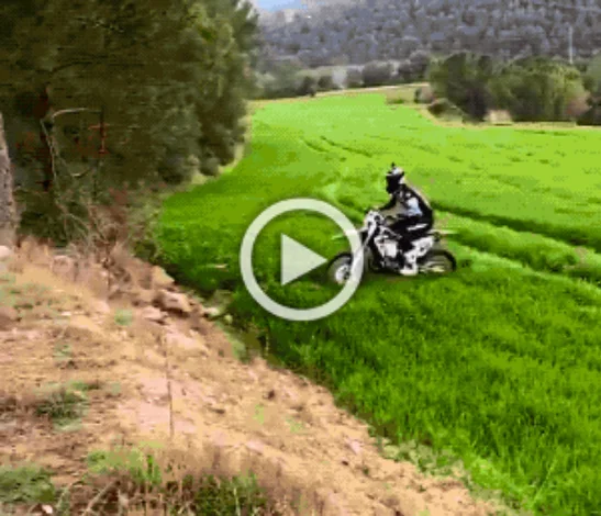 Разнообразные ГИФки #98