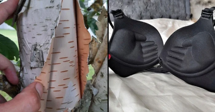 Что внутри? 16 неожиданных «разрезов» предметов, которые вас удивят