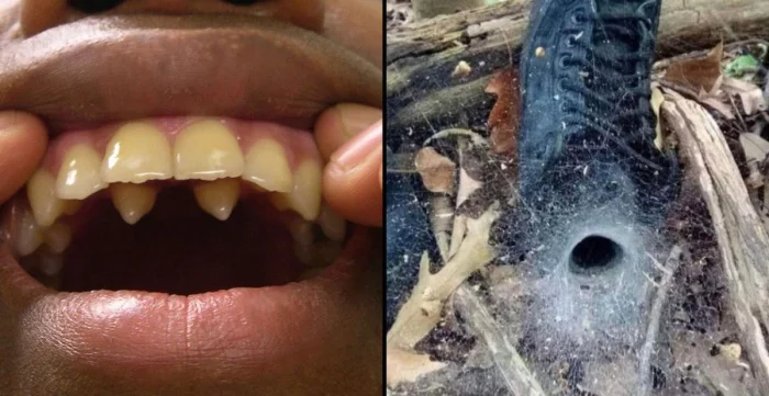 17 обычных вещей, будто из фильмов ужасов