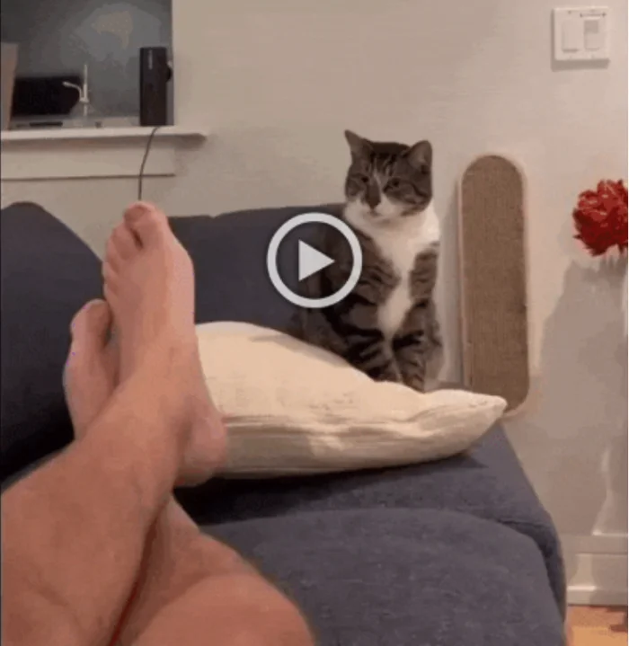 Разнообразные ГИФки #93