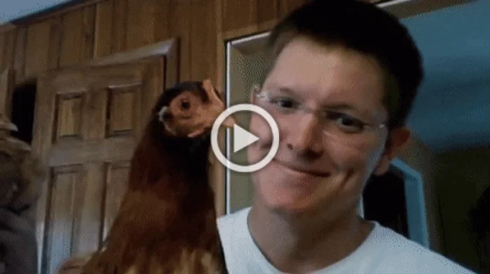 Разнообразные ГИФки #95