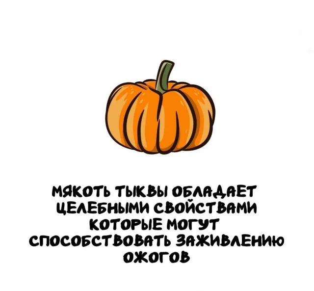 Факты, которые пригодятся в любой ситуации