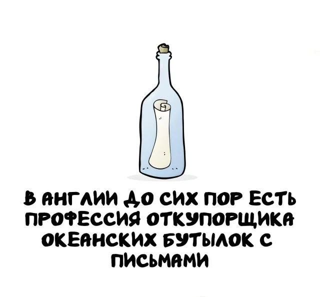 Удивительные сведения, которыми не стыдно блеснуть в разговоре