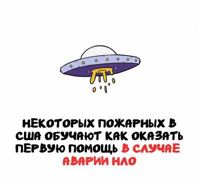 Разнообразные факты, чтобы удивлять в любой компании