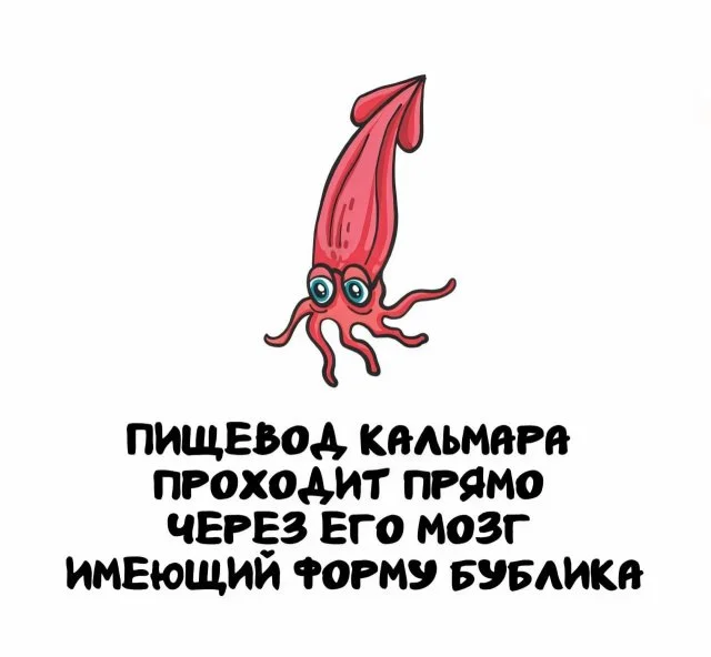 Любопытные мелочи обо всём на свете