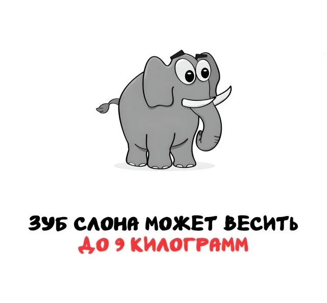 Факты, которые пригодятся в любом разговоре