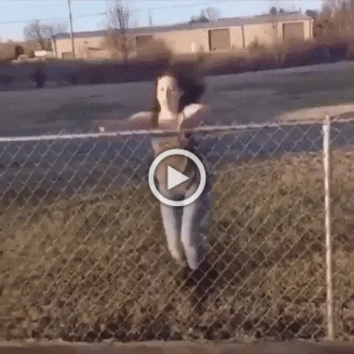 Разнообразные ГИФки #101