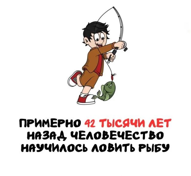 Факты, которые пригодятся в любой компании