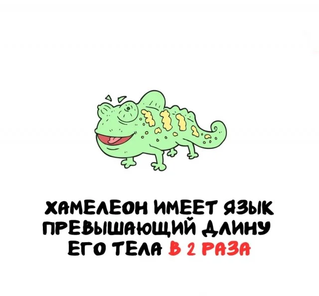 Знания на каждый день: удивительные факты