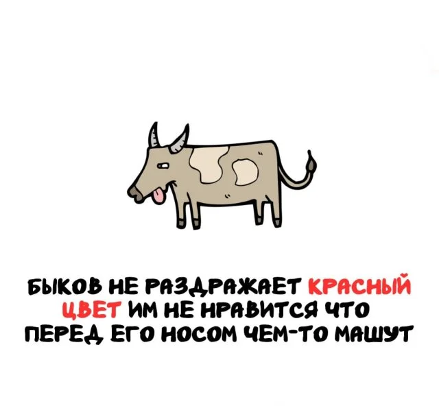 Универсальные факты, которые пригодятся каждому