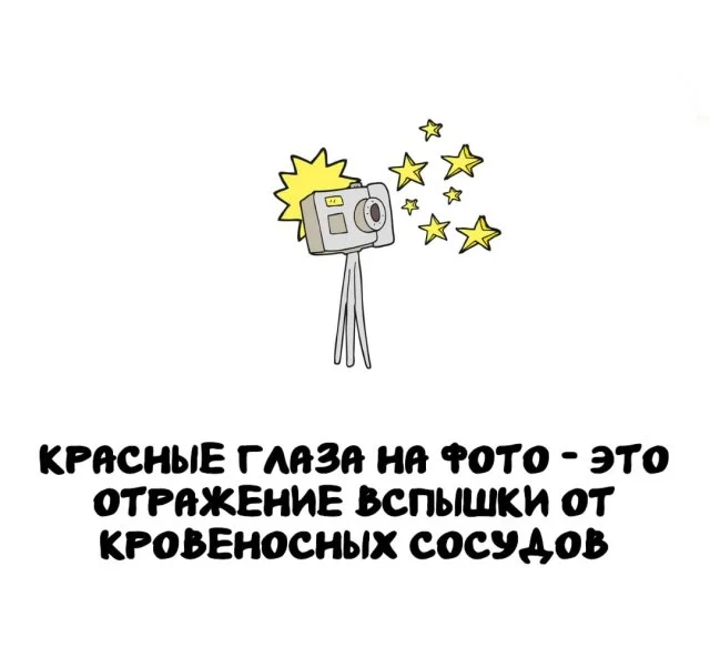 Любопытные факты, которые пригодятся в любой ситуации