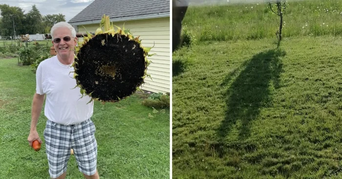 19 снимков, доказывающих: дача — это не только про огород