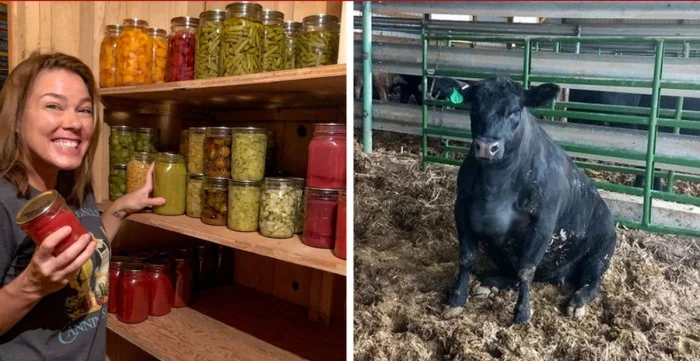 20 душевных снимков деревенской жизни, после которых захочется бросить город