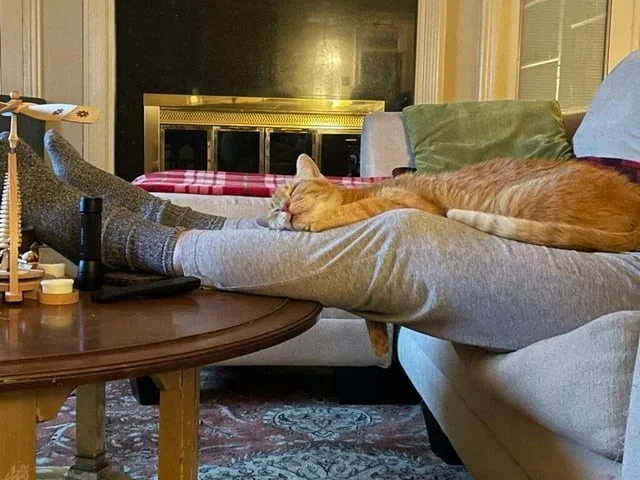 Кот охраняет хозяина