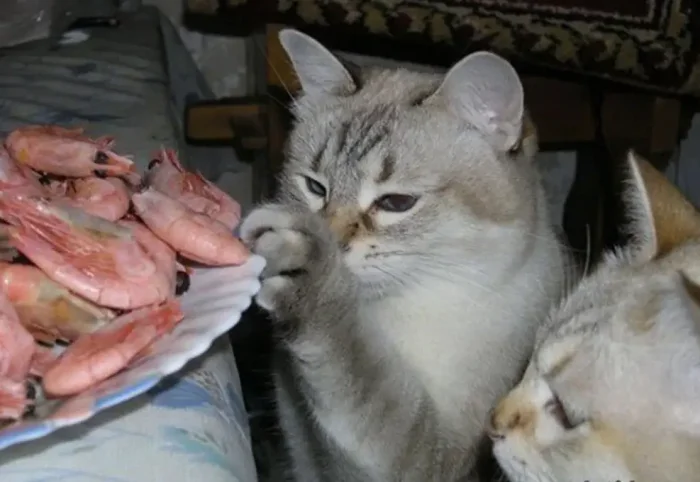 Креветки - следующая цель