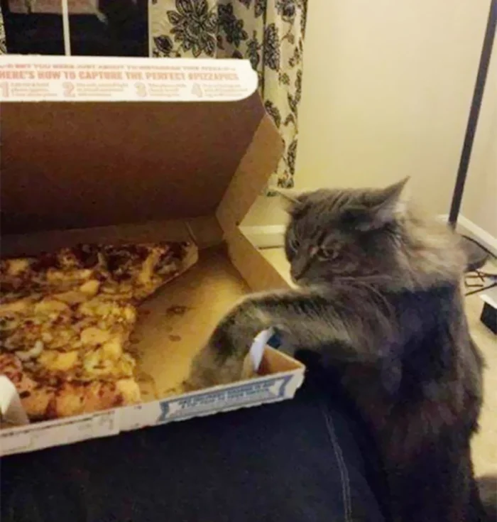 Ты меня не видел, я тебя тоже