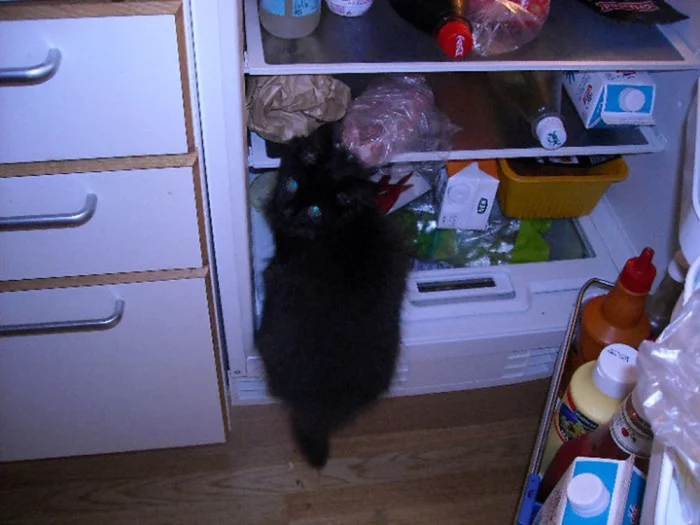 Не подскажете, как пройти в библиотеку?