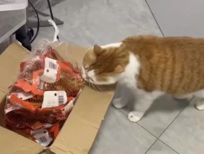 Неудачная попытка