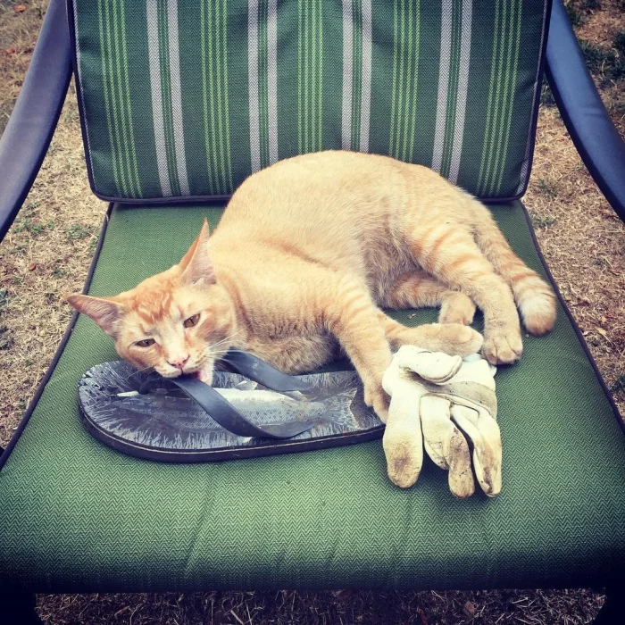 Это всё моё. И точка