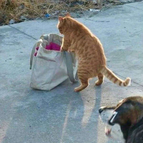 Что тут у нас плохо лежит?