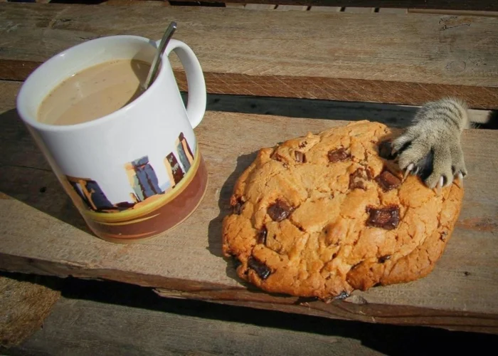 Утро должно быть не только добрым, но и сладким