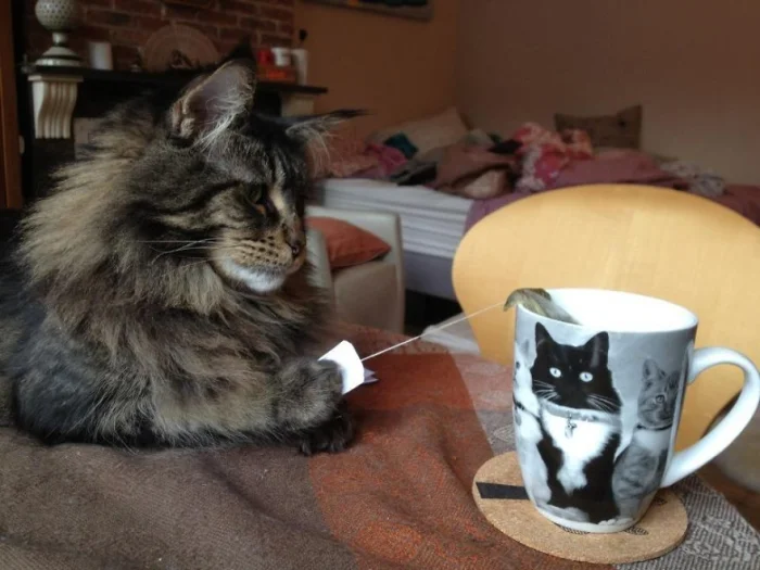 Дело было вечером, делать было нечего