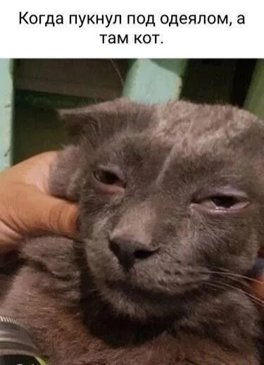 Картинки без морали