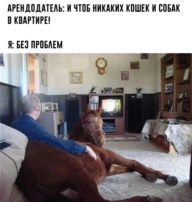 Отборная деградация
