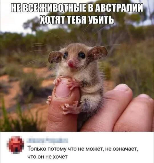 Очень весело