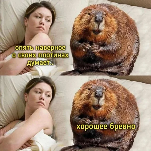 Классные веселые картинки!