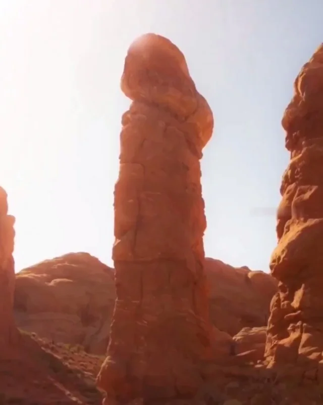 Немного взрослинки