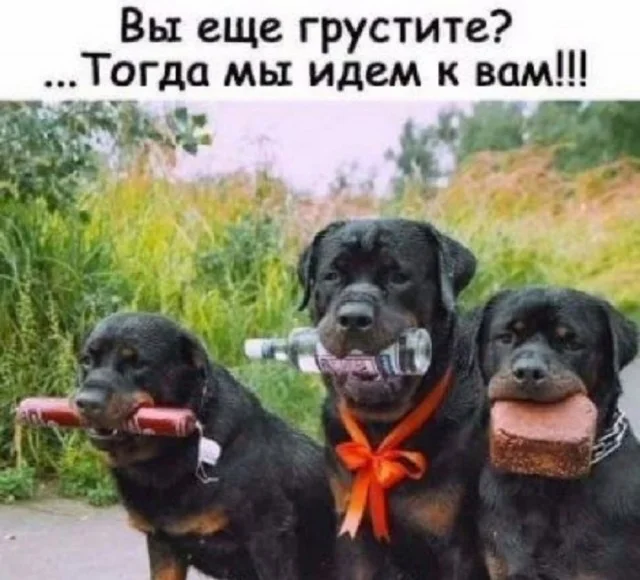 Кайфовые картинки