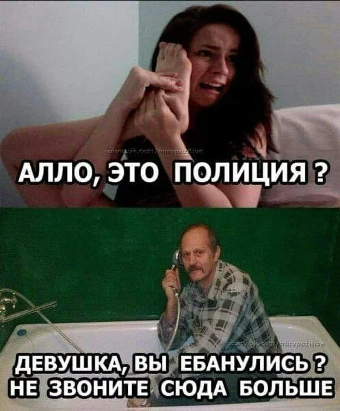 Веселые дичь