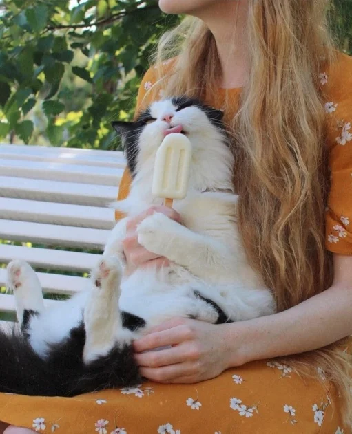 Всякие картинки