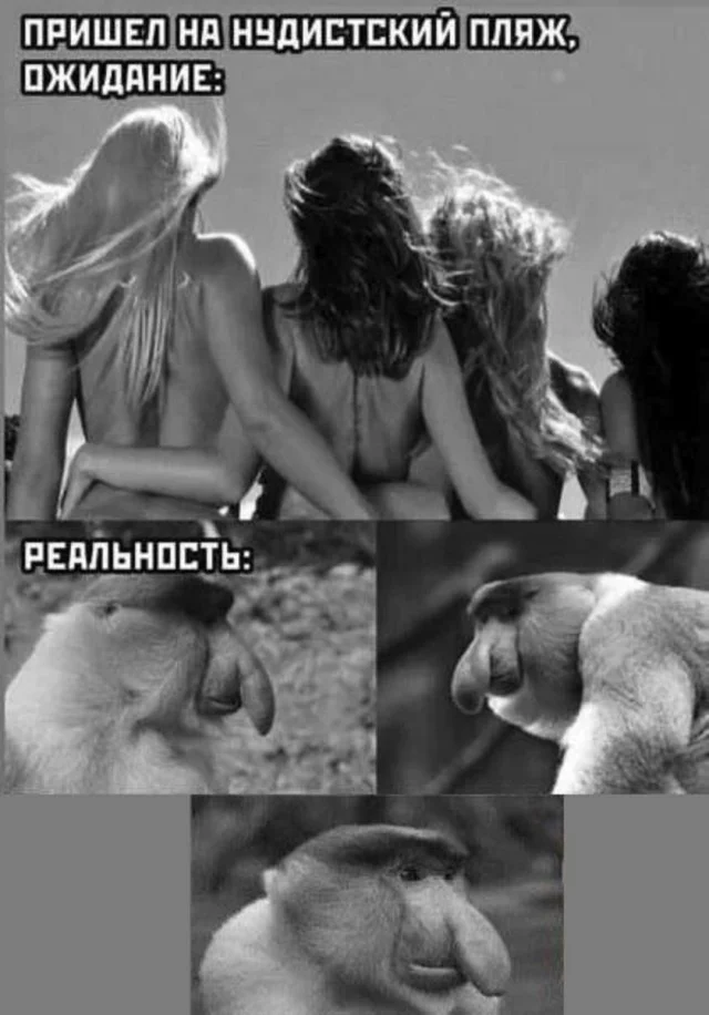 Держите смешнявки