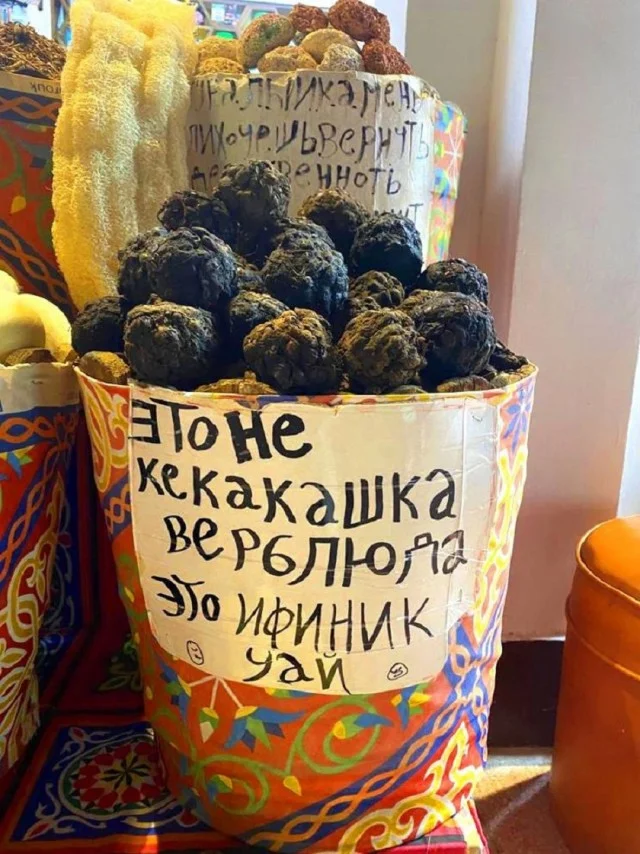 Классные картинки: приколы