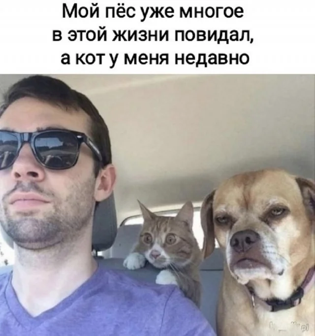 Классные картинки: приколы