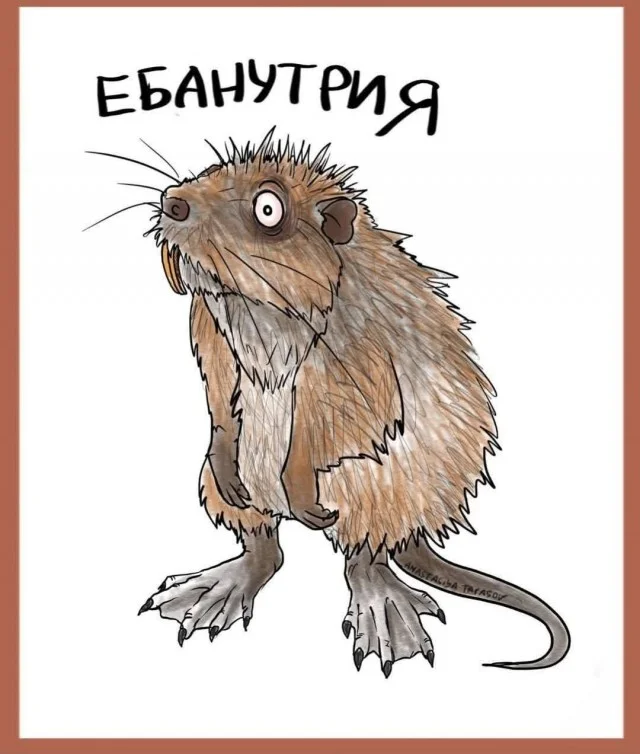 Картинки животного мира