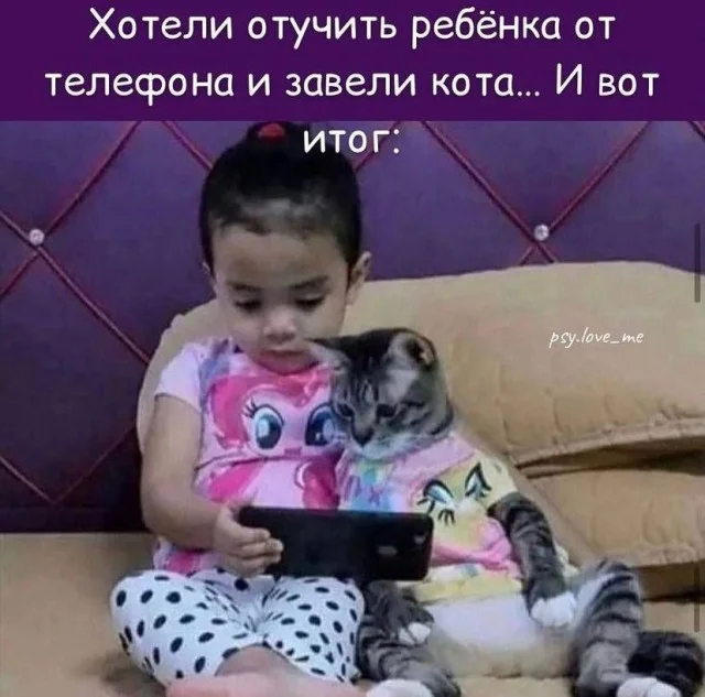 Кото-смешутки