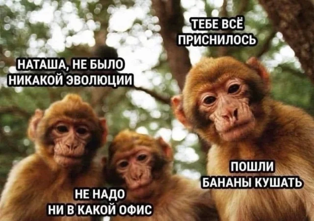 Ха-ха! Картинки!