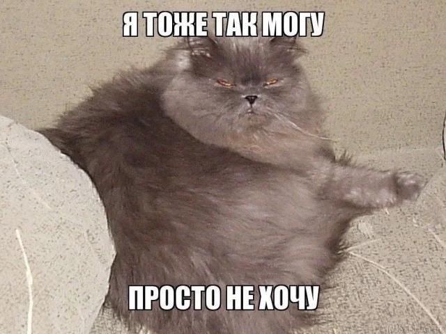 Кото-баяны