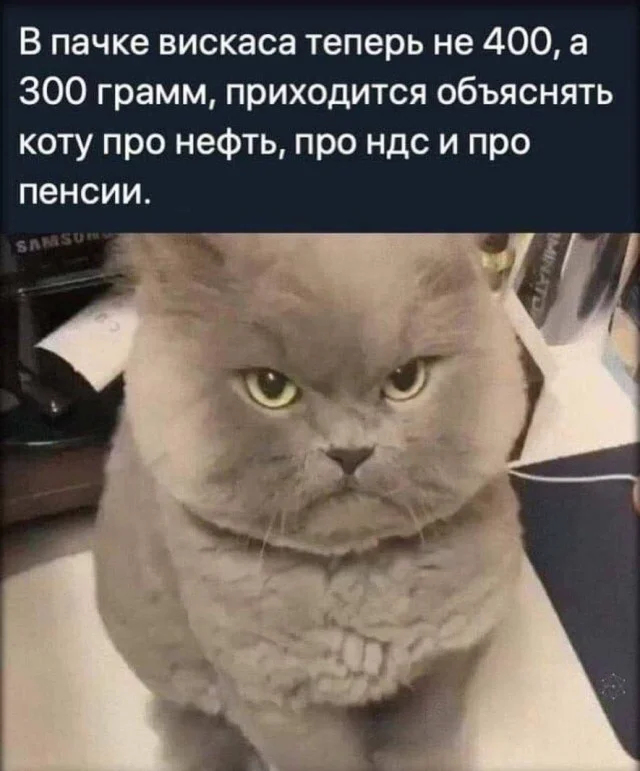 Кото-баяны