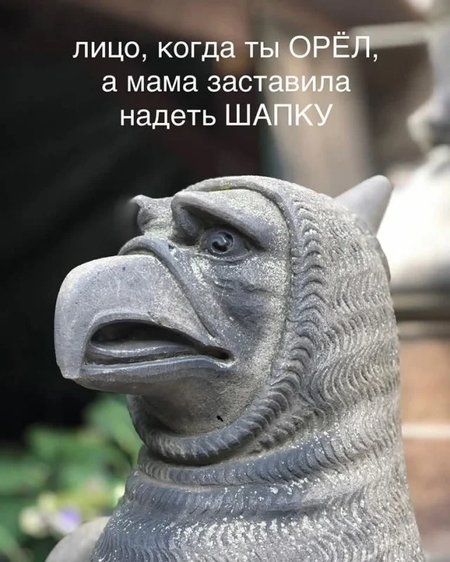 Зашел и улыбнулся!