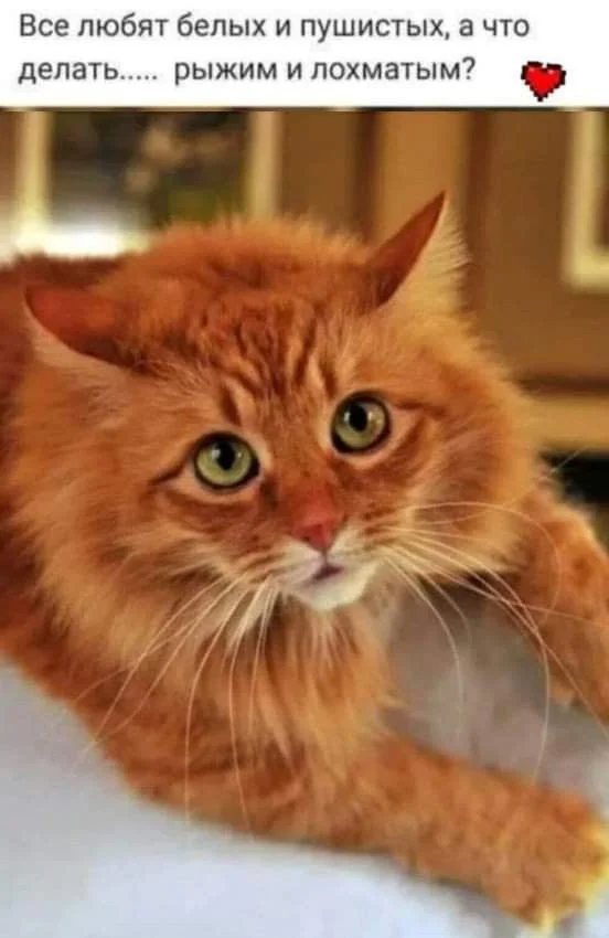 Держите приколы