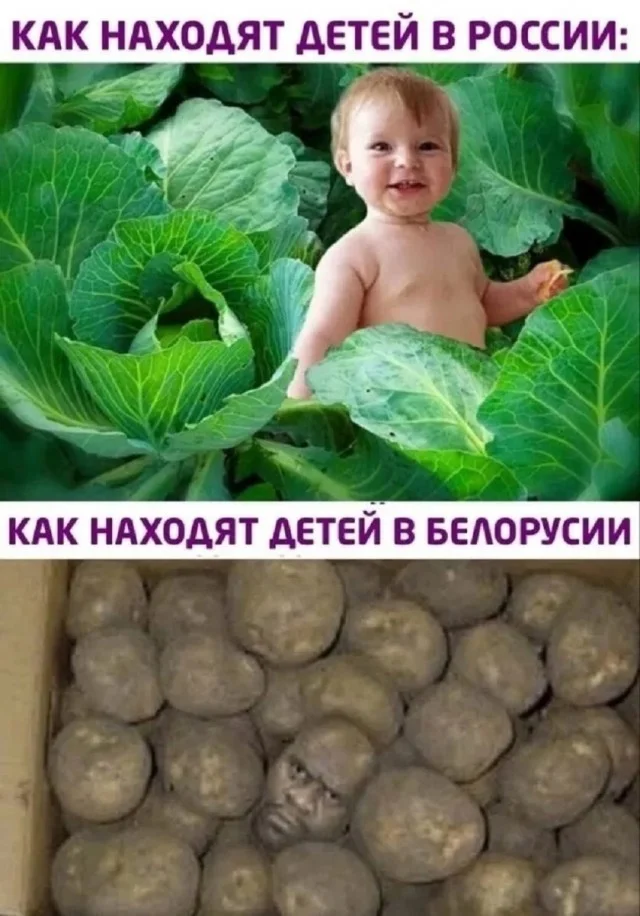 Кайфовые приколы!