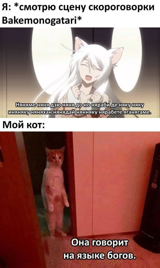 Вторичные анимемы