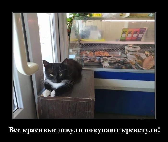 Веселые демотиваторы