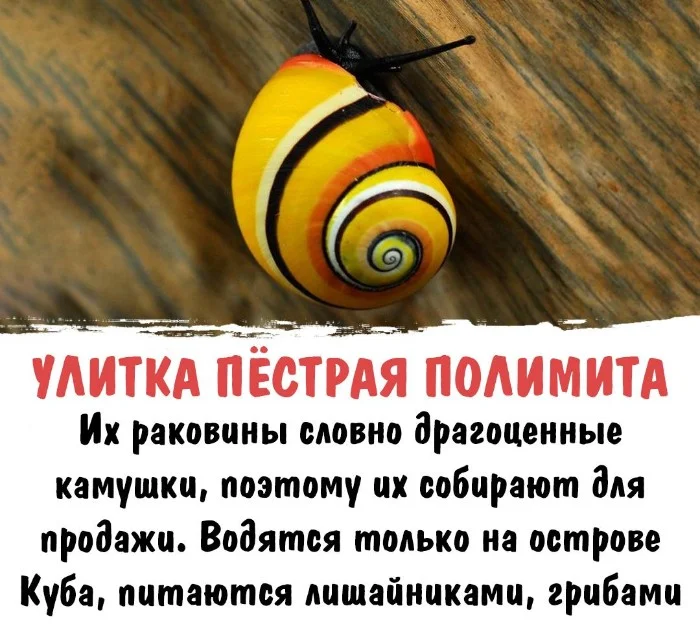 Интересная биология #100